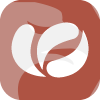 CHOICE FOREX LIMITED(United Kingdom)