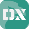 DEVEXPERTS SOLUTIONS IE LIMITED(Ireland)