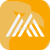 MBS TRADE LTD