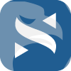 NVS LLC(Georgia (United States))