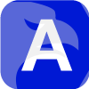 A N MARKETS LLC(Delaware (United States))