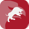 GMT BROKERS LLC(Florida (United States))