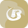 BOVEI FINANCIAL LIMITED(United Kingdom)