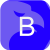 Bluemount Financial Group Limited(Hong Kong)