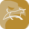 K.B. GROUP LIMITED(New Zealand)