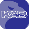 شركة كاب كويت لخدمات الوساطة في التداول المباشر خارج دولة الكويت ش م ك م KAB KUWAIT BROKERAGE GROUP