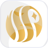 SKYLINEFX LLC(Illinois (United States))