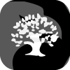 OLIVE TREE CAPITAL MARKETS LIMITED(Cyprus)