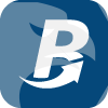 BRIXTON INVESTMENTS LIMITED(United Kingdom)