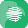 Hybio Global Limited