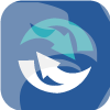 D.T. DIRECT INVESTMENT HUB LTD(Cyprus)