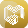 MG FINANCIAL LLC(Delaware (United States))