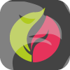 EXENICO (CY) LTD(Cyprus)
