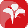 SABLE INTERNATIONAL LIMITED(United Kingdom)