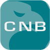 CNB FINWIZ PRIVATE LIMITED
no longer on register(India)