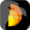 DALMIA SECURITIES PVT LTD(India)