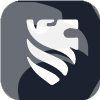 GN CAPITAL LIMITED