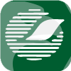 GREENBUCKS SECURITIES PRIVATE LIMITED(India)