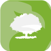 OLIVE FINANCIAL MARKETS PTY LTD(Australia)