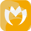 MILLENNIUM STOCK BROKING PRIVATE LIMITED
no longer on register(India)