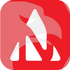 NOSTRO FINANCIAL SERVICES PRIVATE LIMITED(India)