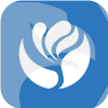 Legend Brokers Limited(Hong Kong)