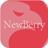 NEW BERRY ADVISORS LIMITED(India)