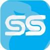 SVS SECURITIES PRIVATE LIMITED(India)