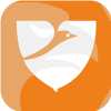 VIVEK FINANCIAL FOCUS LIMITED(India)