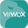Virtual World Services GmbH i.L.