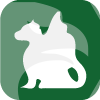 DRAGON CAPITAL (CYPRUS) LIMITED(Cyprus)