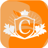 CROWN FOREX (INDIA) PRIVATE LIMITED(India)