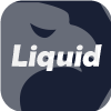 LIQUID INVESTMENTS AND FINANCIAL SERVICES (INDIA) PRIVATE LIMITED(India)