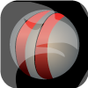 MERCURIA ENERGY TRADING, INC.(Delaware (United States))