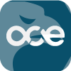 ACE CAPITAL MANAGEMENT SERVICE LTD.(Bangladesh)