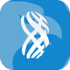 EXPERT LTD