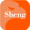 Shengteng (HK) Financial Limited(Hong Kong)
