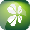 14145387 LTD(United Kingdom)