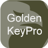 Golden Key Pro LLC(Texas (United States))