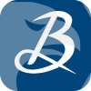 BELTONE FINANCIAL USA LLC(Delaware (United States))