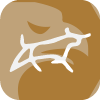 CÔNG TY TNHH MARKETS BROKER MARKETS BROKER COMPANY LIMITED