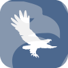 AMYN INVESTMENTS, INC.(California (United States))