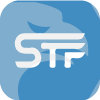 STF TRADING GROUP LIMITED(Ontario (Canada))