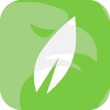 MINT GLOBAL MARKETS UK LTD.(United Kingdom)