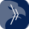 ABEL NOSER HOLDINGS, L.L.C.(New York (United States))