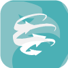 PRO FX CAPITAL LTD(United Kingdom)