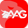 A A G LTD.(Delaware (United States))