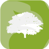 OLIVE FINANCIAL MARKETS PTY LTD(Australia)