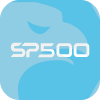 SP500 OPTION LTD(United Kingdom)