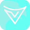 VLOM(France)
